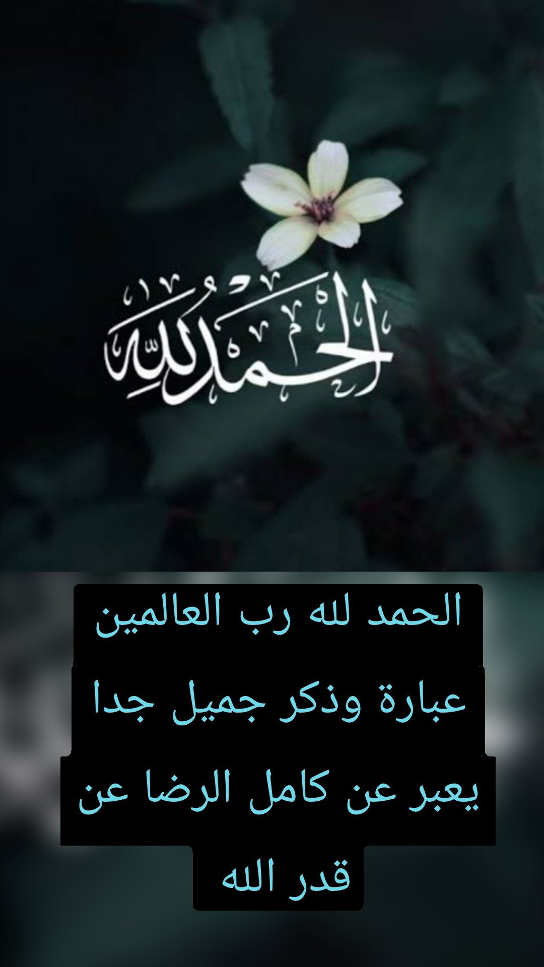 الحمد لله رب العالمين
عبارة وذكر جميل جدا يعبر عن كامل الرضا عن قدر الله 